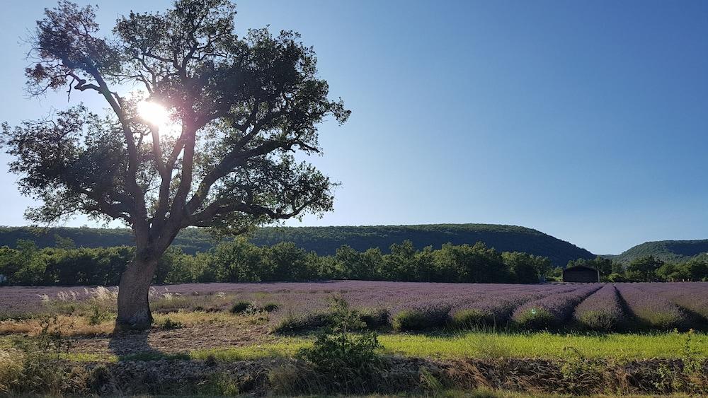 Auberge De Tavel Eksteriør bilde